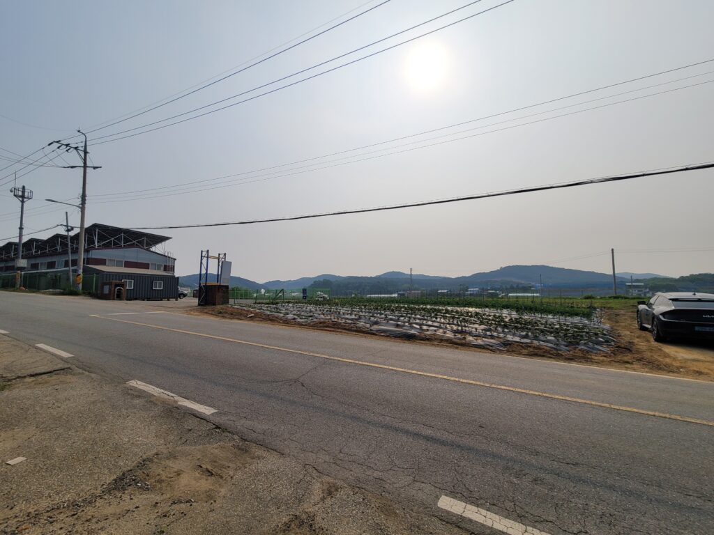 양택리 토지 입구와 도로, 인근 농지 전경