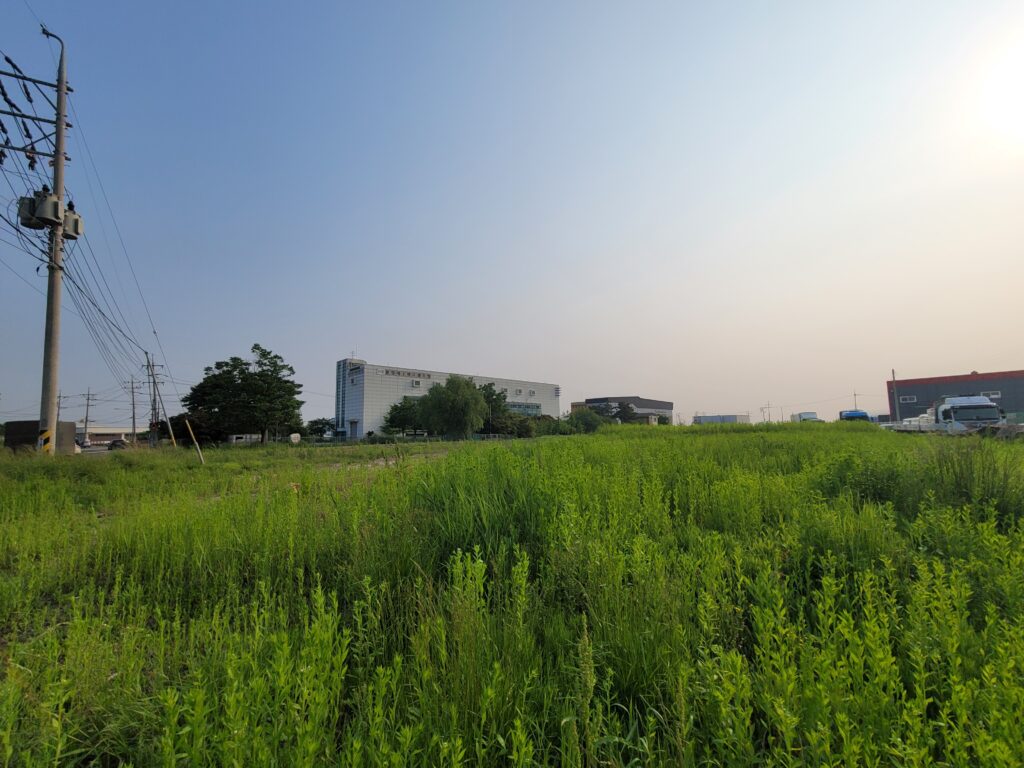 김포 양촌 누산리 농지 – 공장 인접 전경