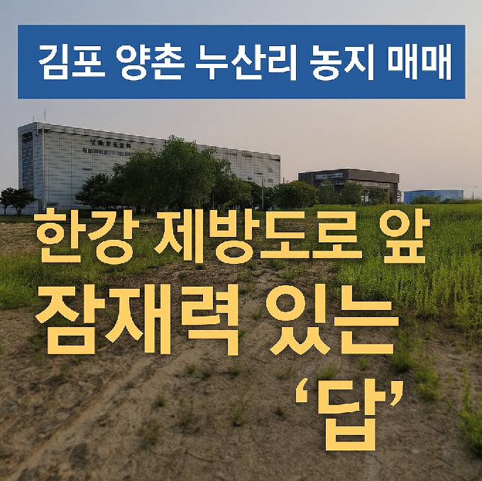 김포 양촌 누산리 농지 매매 썸네일 – 한강 제방도로 앞 잠재력 있는 답