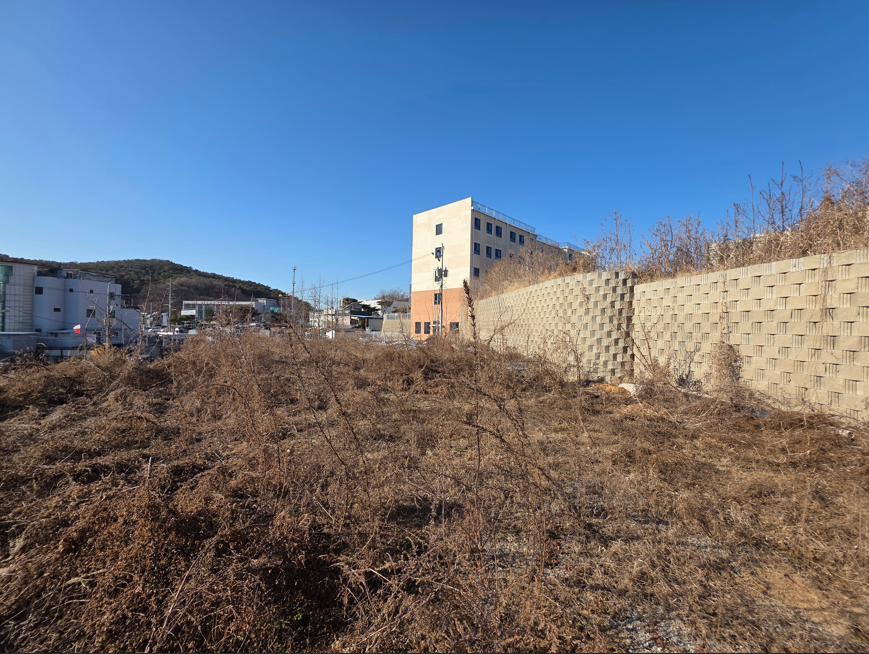 김포 통진읍 서암리 300평대 토지 내부 현장 모습